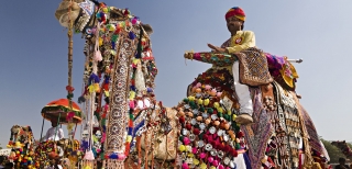 Pushkar Mela – A festival of colors and culture in India